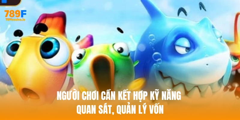 Người chơi cần kết hợp kỹ năng quan sát, quản lý vốn