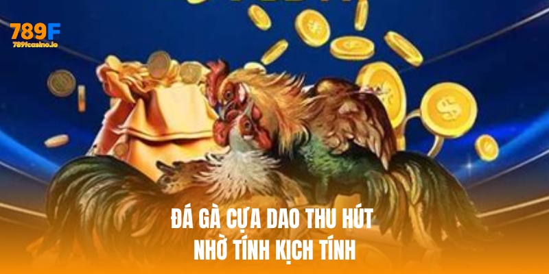 Đá gà cựa dao thu hút nhờ tính kịch tính và chiến thuật cao