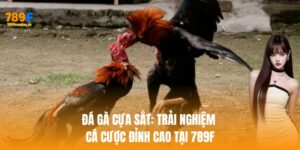 Đá Gà Cựa Sắt: Trải Nghiệm Cá Cược Đỉnh Cao Tại 789F