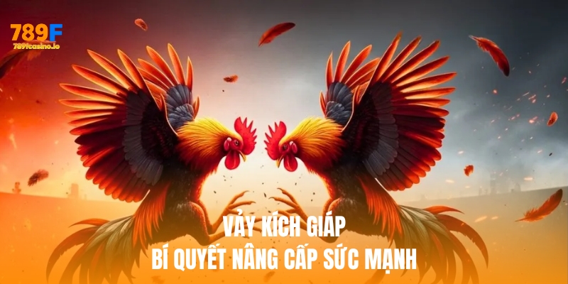 Vảy kích giáp – Bí quyết nâng cấp sức mạnh, phòng thủ tối ưu