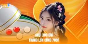 Xóc Đĩa Online 789F – Giải Trí Dân Gian, Thắng Lớn Mỗi Ngày